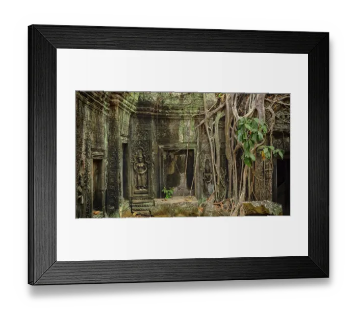 Framed Print : Roots of giant tree covering the ruin of Ta Prohm temple in Angkor Wat (Siem Reap)