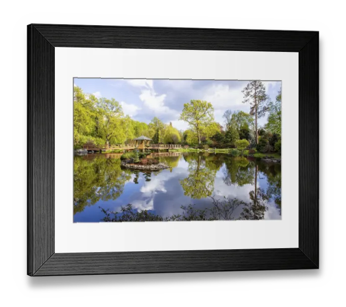 Framed Print : Fresh light green landscape of Japanese garden in Wroclaw