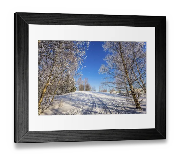 Framed Print : Transparent cold air of forest Framed Print : Transparent cold air of forest