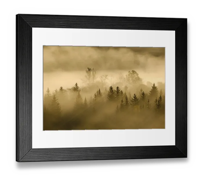 Framed Print : Fog in the Pupplinger Au at sunrise Framed Print : Fog in the Pupplinger Au at sunrise