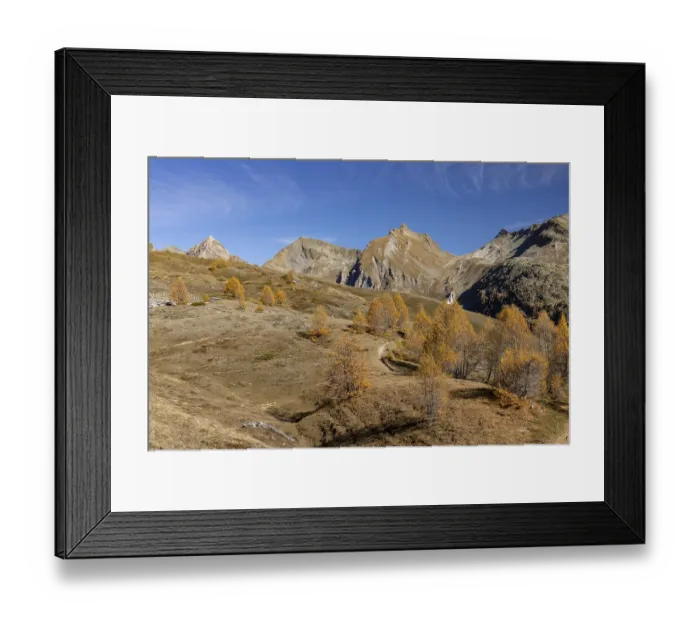 Framed Print : Autumnal larch forests, view of the Niwen and the Loicherspitze