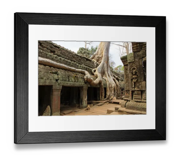 Framed Print : The temple of Ta Prohm in Cambodia