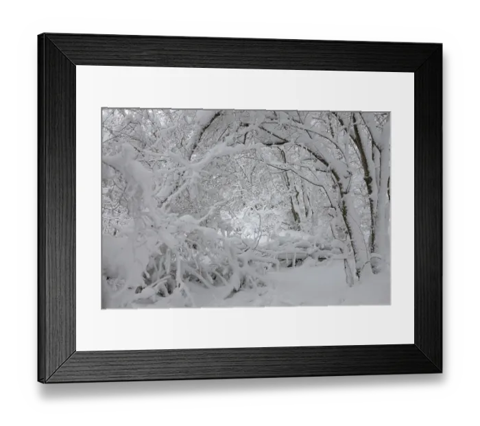 Framed Print : Beautiful landscape with snow covered branches in winter forest