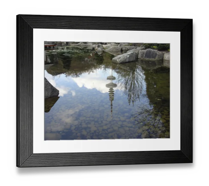 Framed Print : Water reflection in the pond Framed Print : Water reflection in the pond
