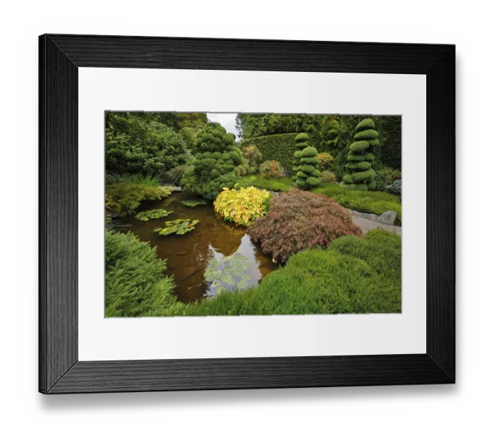 Framed Print : Decorative Japanese garden. A stream