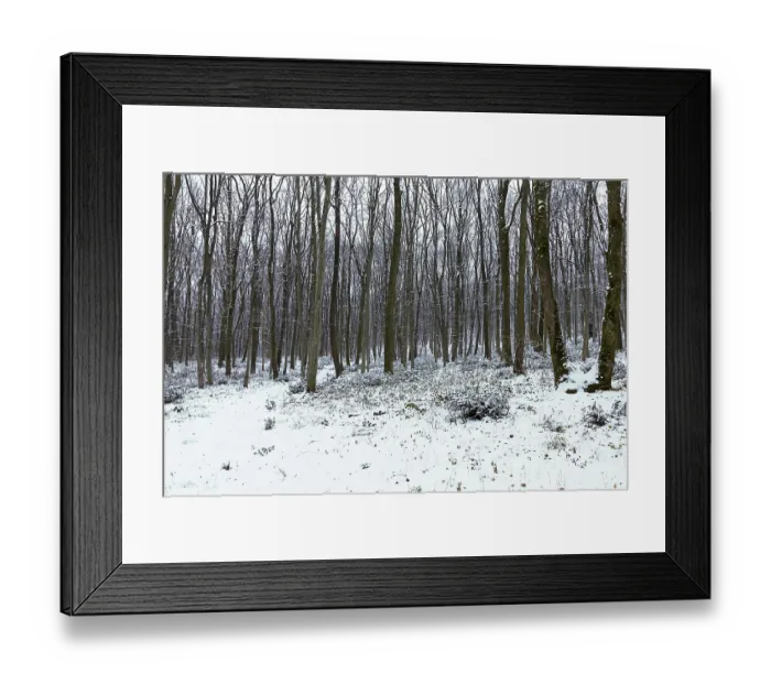 Framed Print : Frosty winter landscape in snowy forest