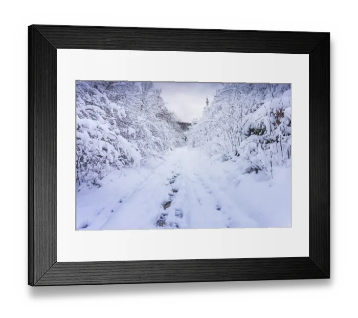 Framed Print : Walk through the snowy winter forest in the German low mountain range