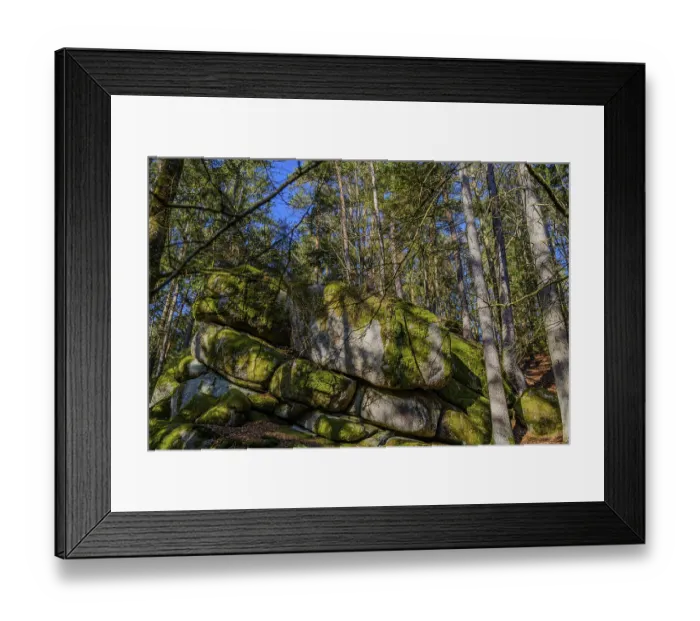 Framed Print : Large rocks with moss in a forest surrounded by trees Framed Print : Large rocks with moss in a forest surrounded by trees
