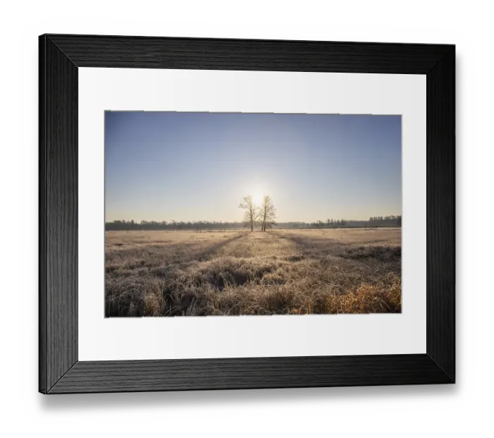 Framed Print : Winter landscape in frost at sunrise