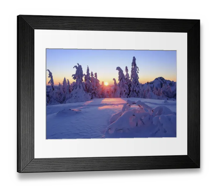 Framed Print : Sunset, Arbermandl, snowy spruces Framed Print : Sunset, Arbermandl, snowy spruces