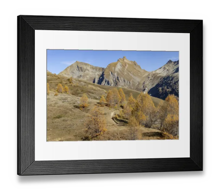 Framed Print : Autumnal larch forests, view of the Niwen and the Loicherspitze Framed Print : Autumnal larch forests, view of the Niwen and the Loicherspitze