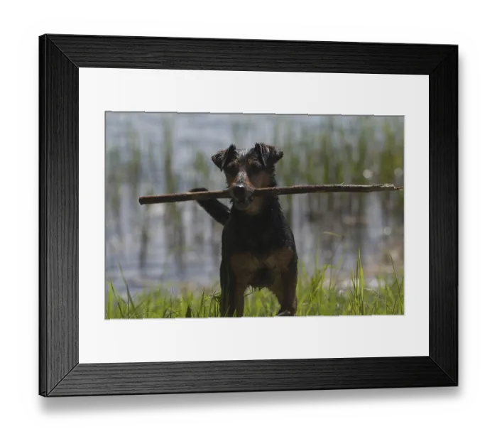 Framed Print : Play with me