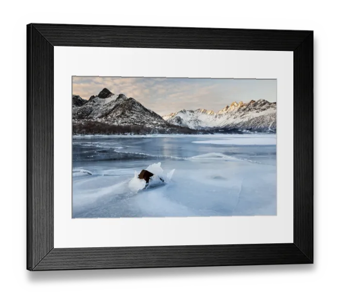 Framed Print : Frozen fjord in winter, Lofoten, Norway, Europe Framed Print : Frozen fjord in winter, Lofoten, Norway, Europe