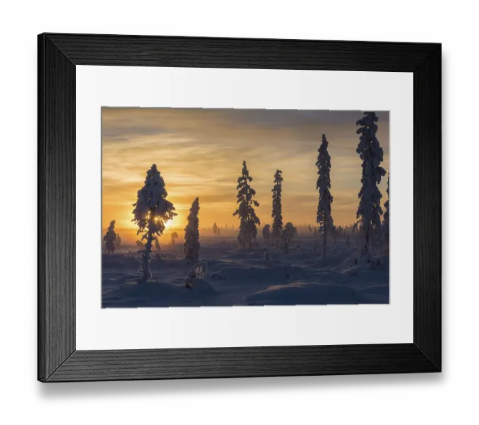 Framed Print : Foggy mood, Muddus National Park Framed Print : Foggy mood, Muddus National Park