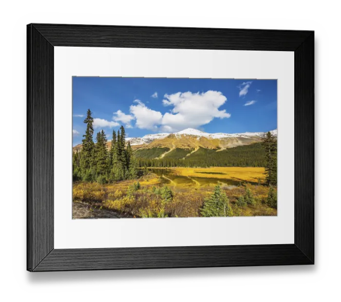 Framed Print : Sunny day. Waterlogged valley in the Rocky Mountains Framed Print : Sunny day. Waterlogged valley in the Rocky Mountains