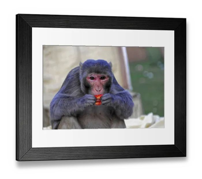 Framed Print : Near Agra, Uttar Pradesh, India