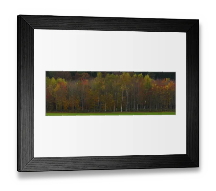 Framed Print : Alder autumn forest