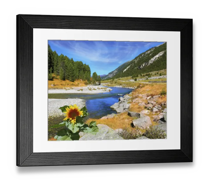 Framed Print : The narrow stream flows between fields and pine forests Framed Print : The narrow stream flows between fields and pine forests