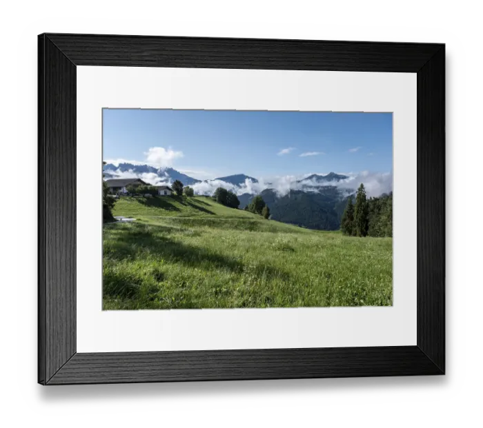 Framed Print : View across the meadow to the woods