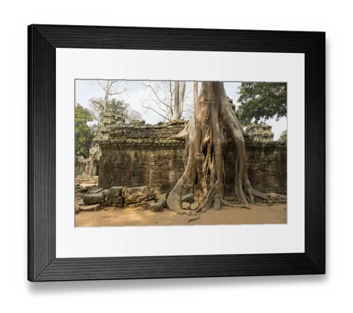 Framed Print : The temple of Ta Prohm in Cambodia Framed Print : The temple of Ta Prohm in Cambodia