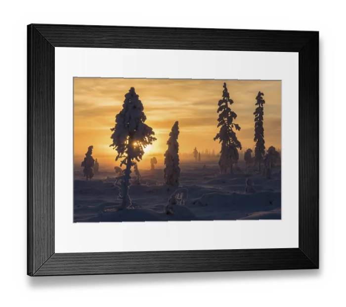 Framed Print : Foggy mood, Muddus National Park