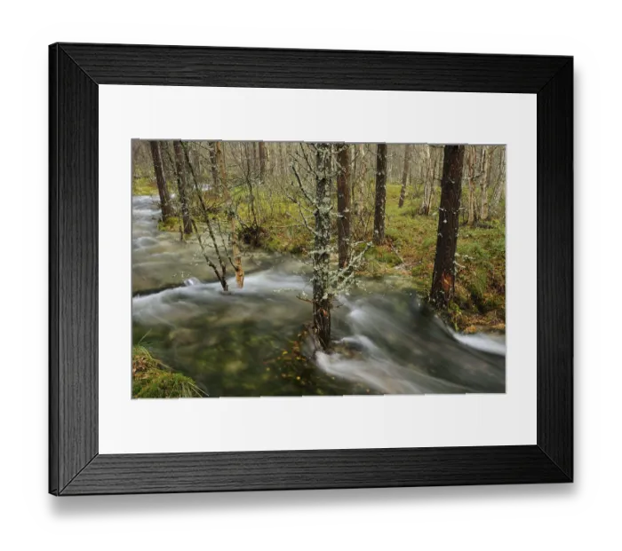 Framed Print : Floodwater in the forest near Straumbu