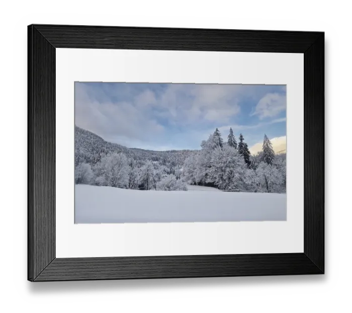 Framed Print : Peaceful winter scene with snow covered trees and ground