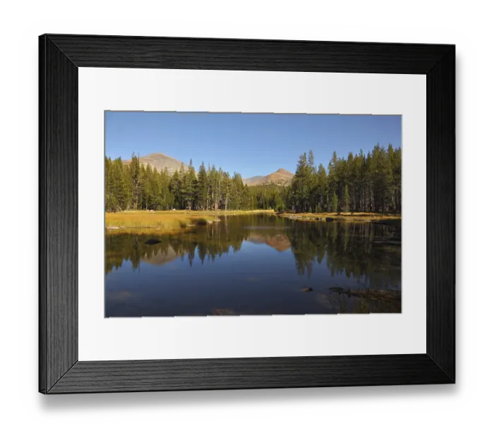 Framed Print : Charming shallow lake. Mountains and forest are reflected in smooth mirror of water