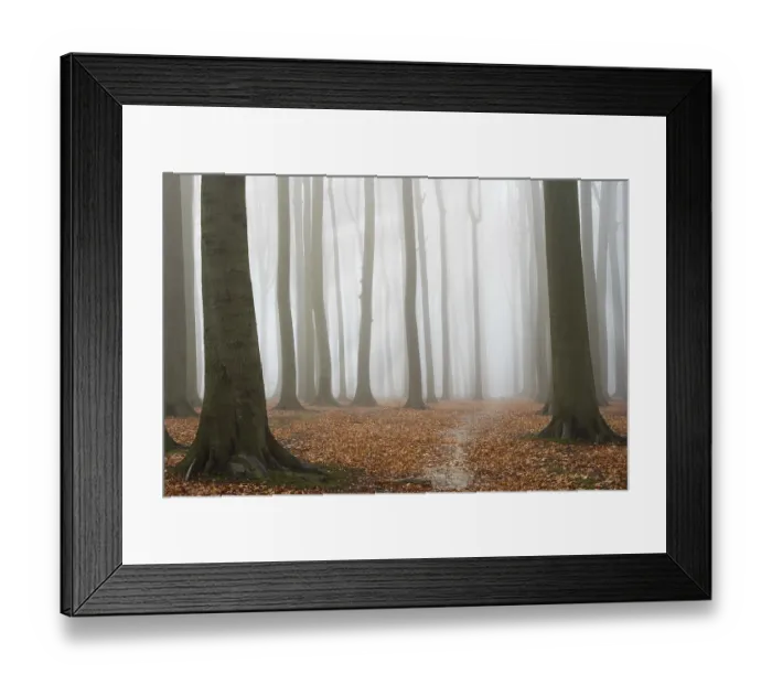 Framed Print : Misty autumn beech forest, ground covered by fallen leaves