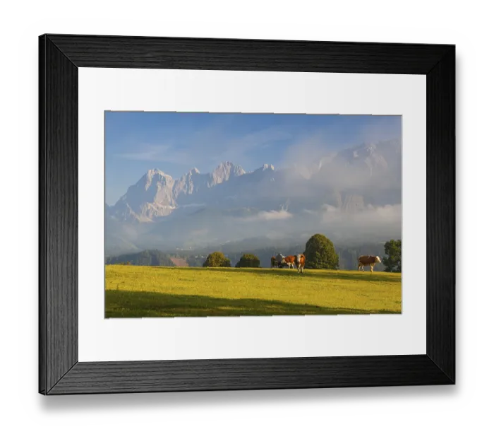 Framed Print : On a farm in the high mountains in Austria