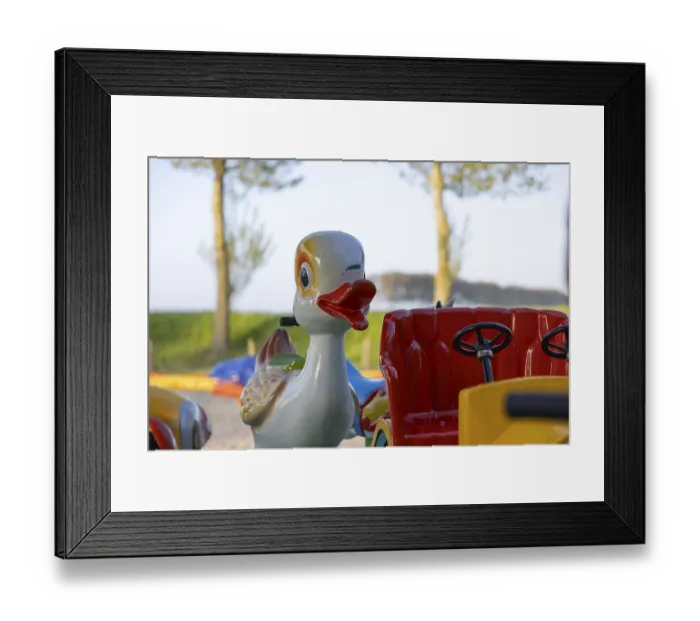 Framed Print : Colourful carousel duck on a playground near Sonnebschein