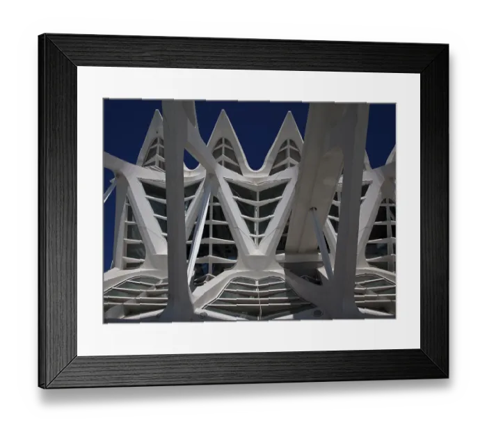Framed Print : City of Arts and Sciences (cat) Framed Print : City of Arts and Sciences (cat)