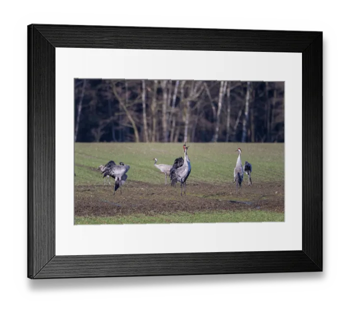 Framed Print : deserted, no one, No People, nobody Framed Print : deserted, no one, No People, nobody
