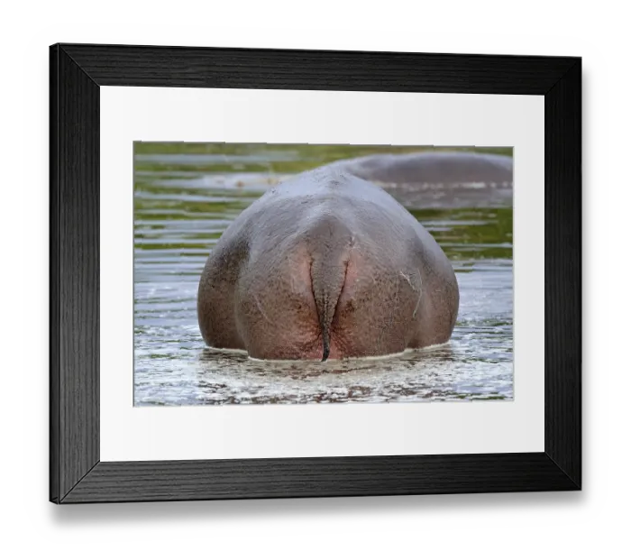 Framed Print : deserted, no one, No People, nobody Framed Print : deserted, no one, No People, nobody