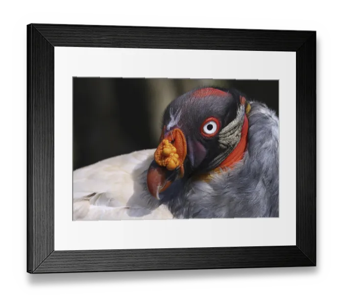 Framed Print : deserted, no one, No People, nobody Framed Print : deserted, no one, No People, nobody