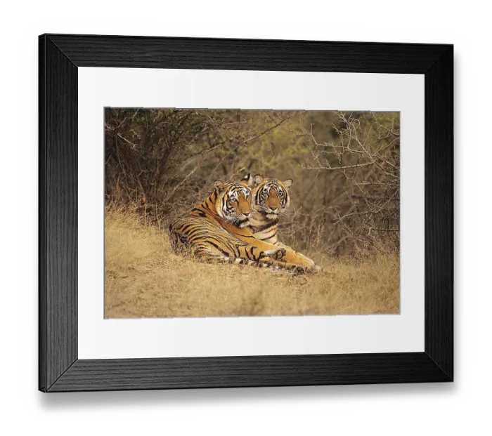Framed Print : deserted, no one, No People, nobody Framed Print : deserted, no one, No People, nobody