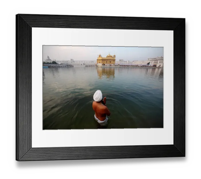 Framed Print : Sikh offering his prayers to Harmandir Sahib or Darbar Sahib or Golden temple