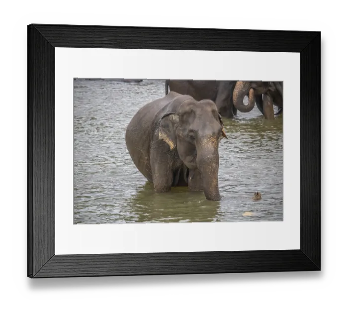 Framed Print : Dry subtropical landscape on an island