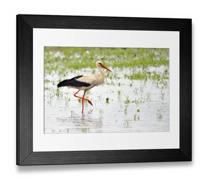 Framed Print : In der Oberlausitz