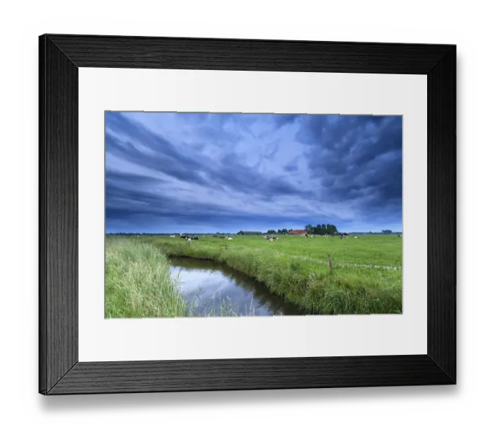 Framed Print : Cattle on pasture by river over clouded sky Framed Print : Cattle on pasture by river over clouded sky