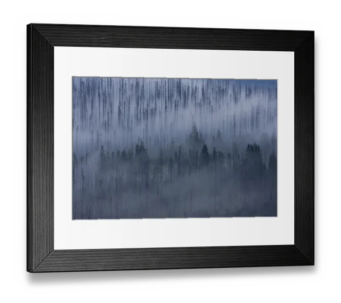 Framed Print : Cloudy mood on the peak of Lusen Mountain Framed Print : Cloudy mood on the peak of Lusen Mountain
