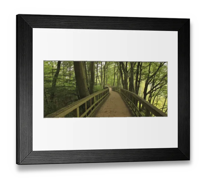 Framed Print : Gangplank in a green beech forest at Moens Klint