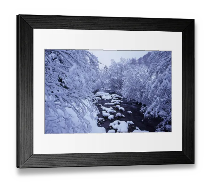Framed Print : Snow-covered trees, Poellatal Valley Framed Print : Snow-covered trees, Poellatal Valley