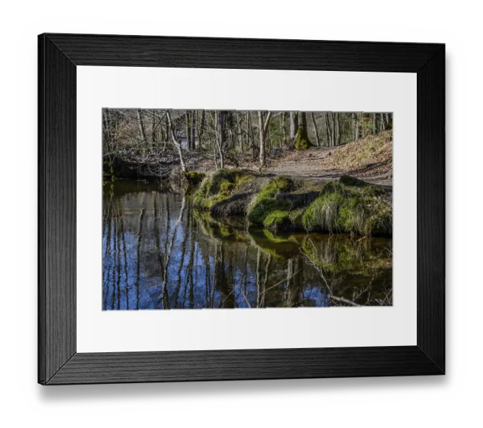 Framed Print : A quiet stream in the forest with mirroring reflections of the trees and moss-covered banks