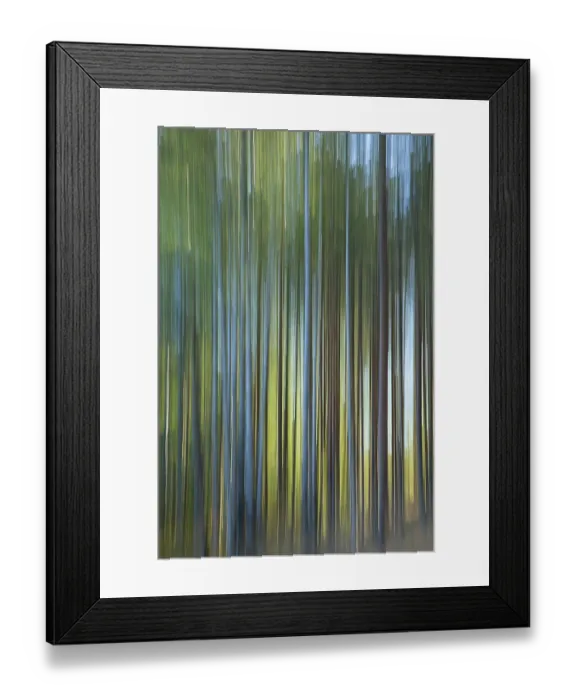Framed Print : Intentional camera movement (ICM) image of a dream like background of trees in forest created by motion blur