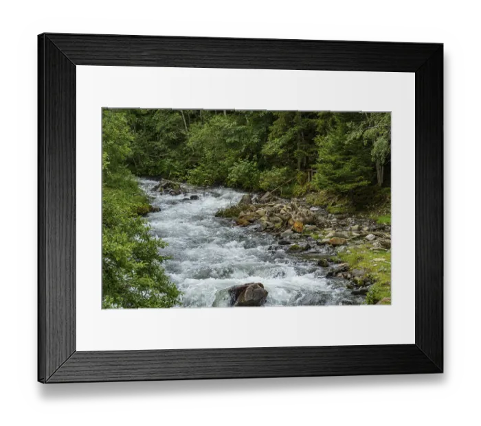 Framed Print : A river meanders through a dense forest with green vegetation