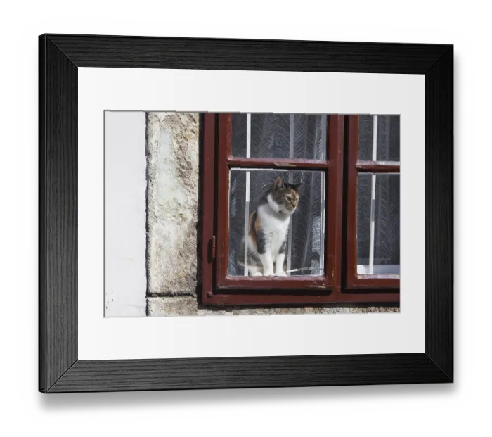 Framed Print : Cat looking outside through the red window