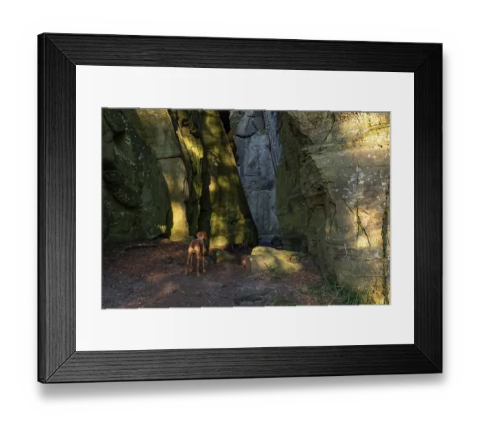 Framed Print : Dog, Vizsla at a narrow point in the sandstone