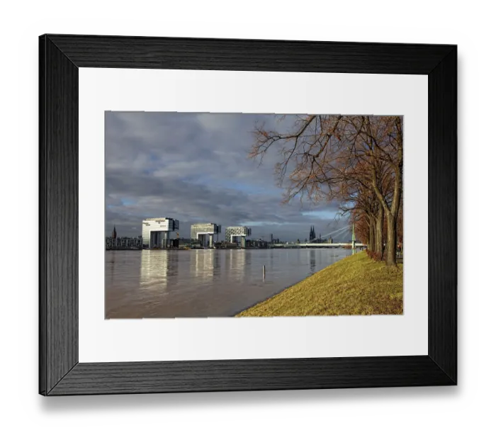 Framed Print : View over the polder meadows on the left bank of the Rhine River Framed Print : View over the polder meadows on the left bank of the Rhine River