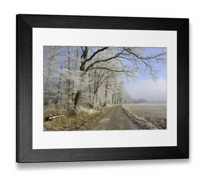 Framed Print : D-BW. Maulbronn, Raureif im Wald